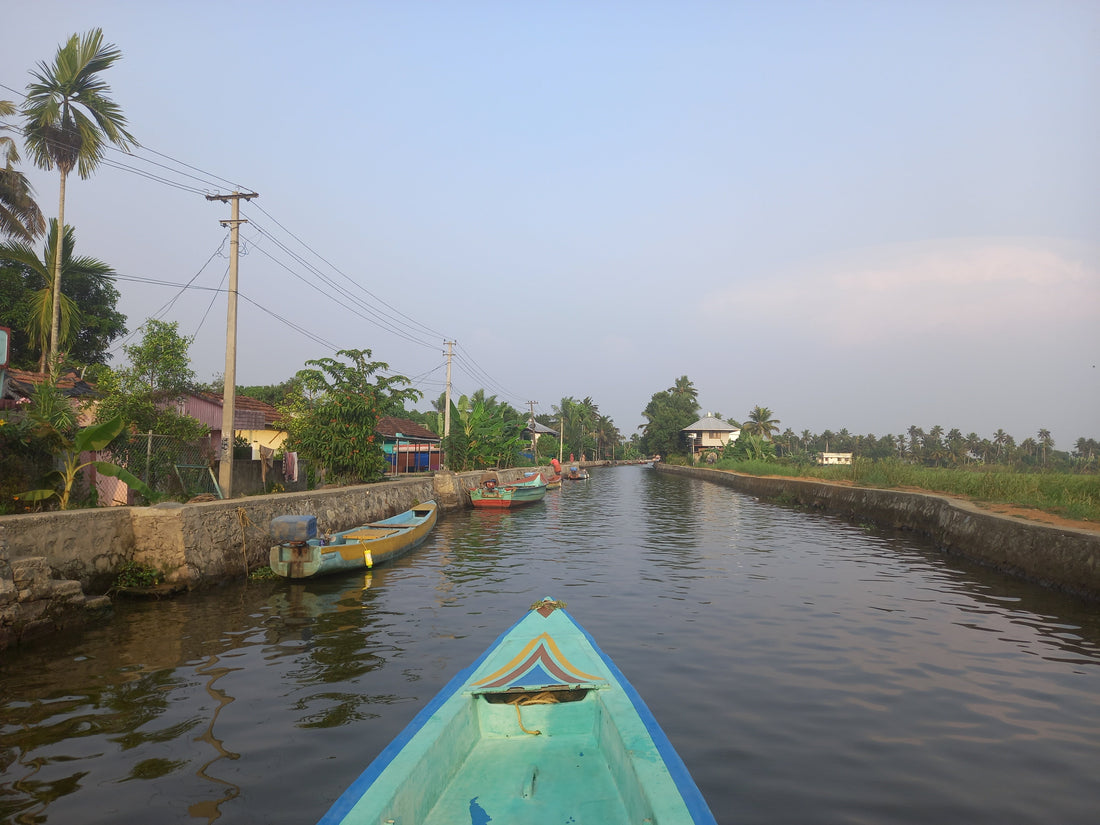 Allepey backwaters