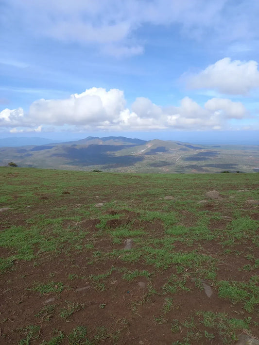 Mt. Kilimambogo